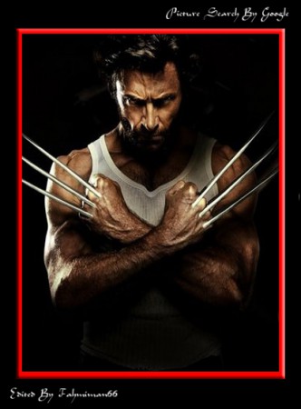 Wolverine